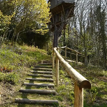 Sherwood Tree * Étretat