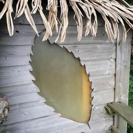 Bed and breakfast Sherwood Tree