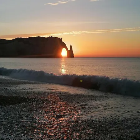 Bed and breakfast Sherwood Tree