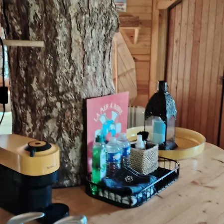 Bed and breakfast Sherwood Tree Étretat