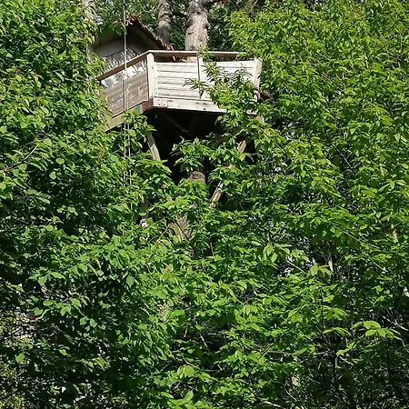 Bed and breakfast Sherwood Tree *