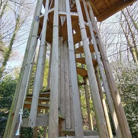 ベッド・アンド・ブレックファスト Sherwood Tree *