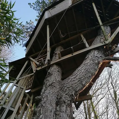 ベッド・アンド・ブレックファスト Sherwood Tree エトルタ