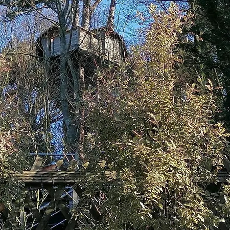 ベッド・アンド・ブレックファスト Sherwood Tree エトルタ
