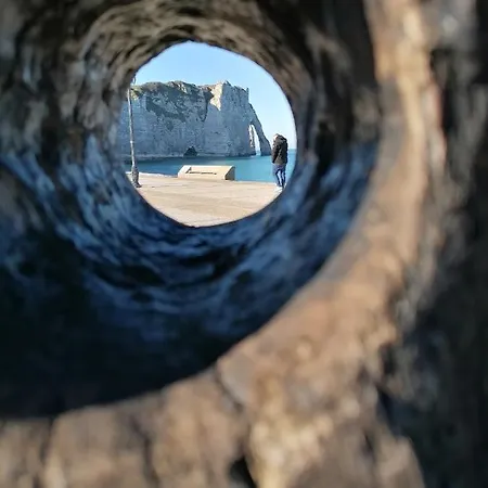 Sherwood Tree Étretat