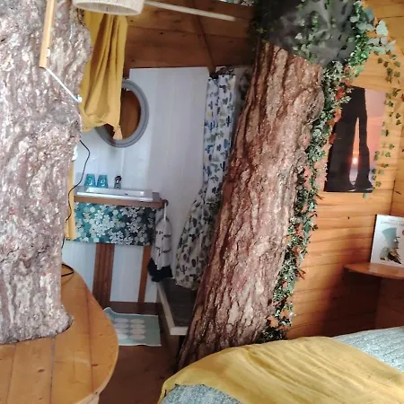 Sherwood Tree * 埃特勒塔