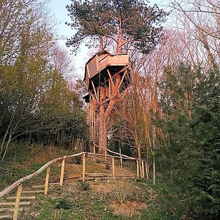 Sherwood Tree エトルタ