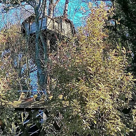 Sherwood Tree ベッド・アンド・ブレックファスト *