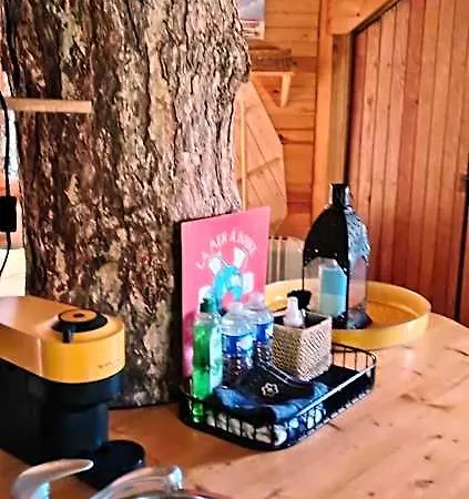 Sherwood Tree * エトルタ