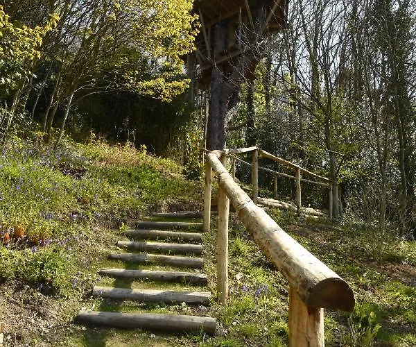 Sherwood Tree * 埃特勒塔