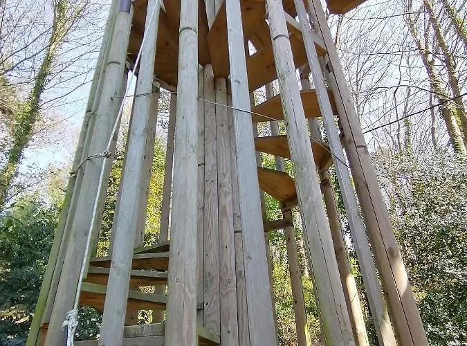 住宿加早餐酒店 Sherwood Tree *