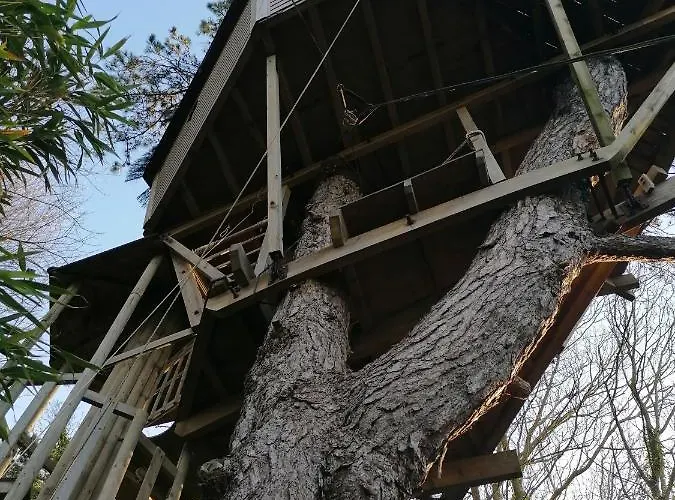 住宿加早餐酒店 Sherwood Tree 埃特勒塔
