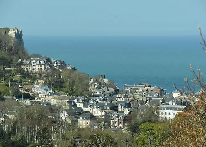 Sherwood Tree 埃特勒塔