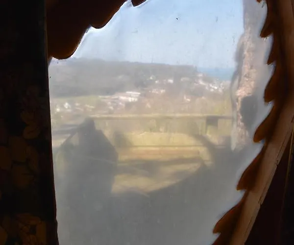 Sherwood Tree * 埃特勒塔